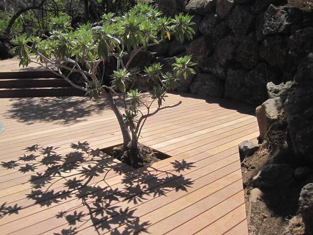 Caillebotis en bois IPE à La Réunion